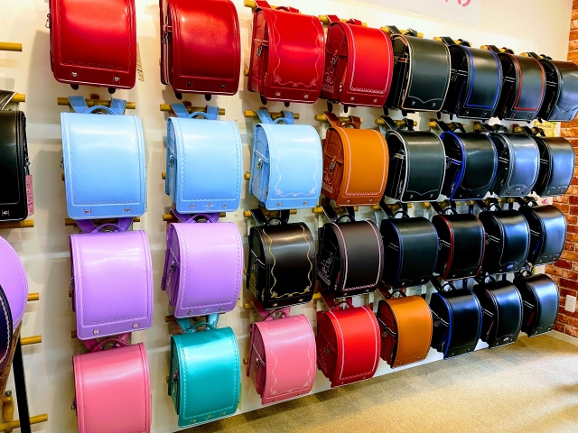 Elementary school students use Randoserus.