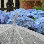 Enjoy sightseeing in the rainy season