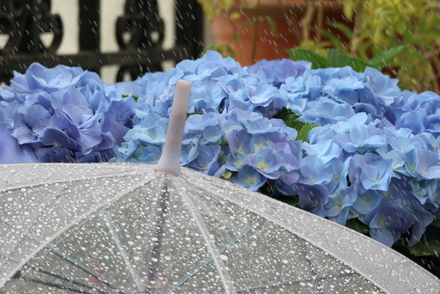 Enjoy sightseeing in the rainy season