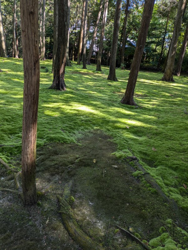 Japan's Religious Harmony: Gods in Daily Life