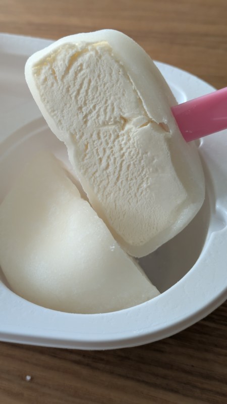 Winter Ice Cream Delights: Japan's Sweet Secrets