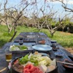 Japanese Spring Picnic with Sukiyaki & Bamboo Shoots