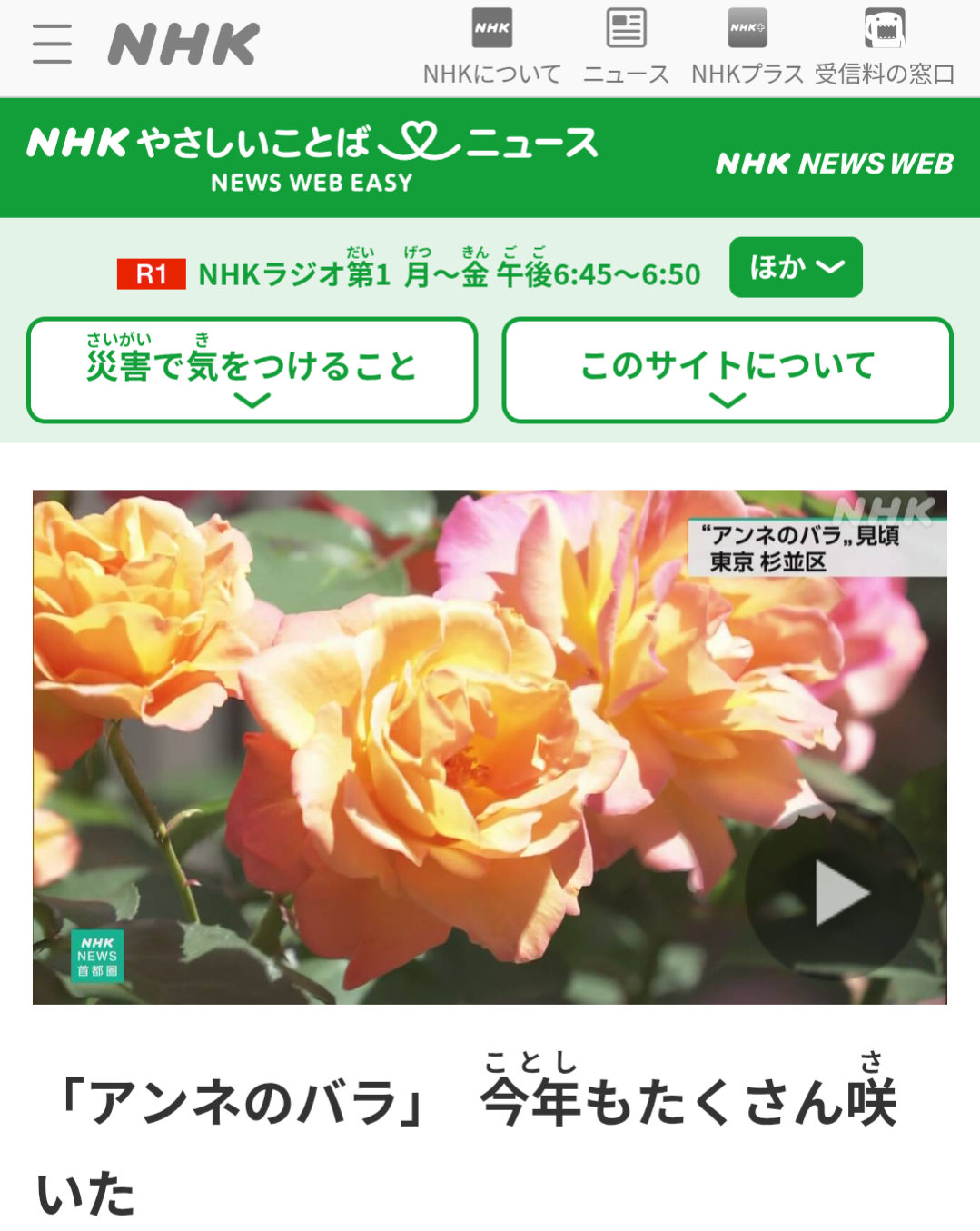 Free Easy Japanese News for Learners