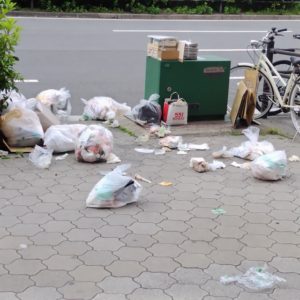 What We Do in Japan: No Trash Cans