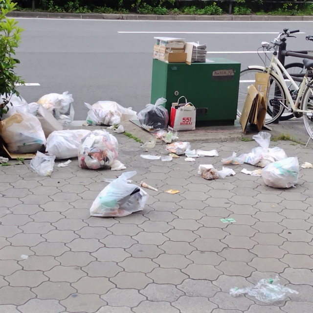 What We Do in Japan: No Trash Cans